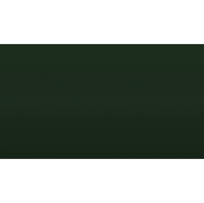 Πούδρα ηλεκτροστατικής βαφής χρώμα 6009 Structura (X-1499 Terrae RAL 6009 - Forest Alloy) Akzo