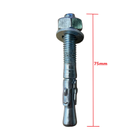 Βύσμα μεταλλικό express 10x75mm FM (για μπετό)