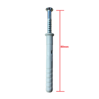 Βύσμα καρφωτό (ούπα) TSS 10x80mm