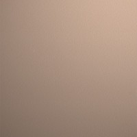 Πούδρα ηλεκτροστατικής βαφής χρώμα 1019 Ammos (X-1641	Terrae RAL 1019 - Ivory Whisper) Neokem