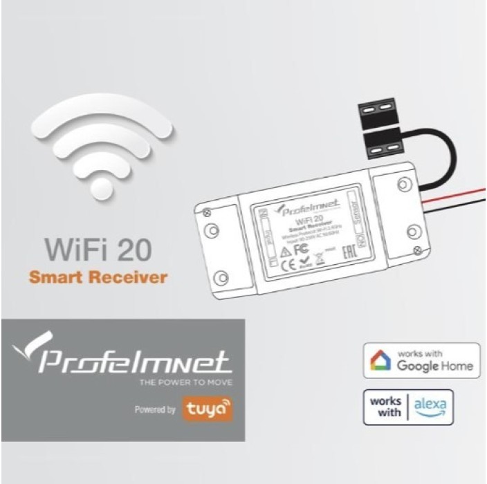Δέκτης Wifi (WF-20) Profelmnet