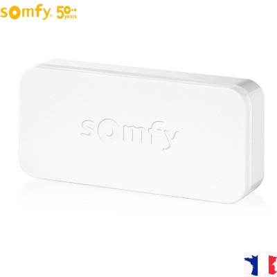 Ανιχνευτής Ανοίγματος IntelliTag Somfy 2401487