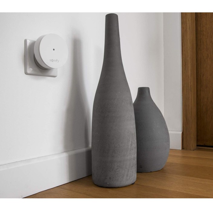 Αναμεταδότης Σήματος Somfy 2401495