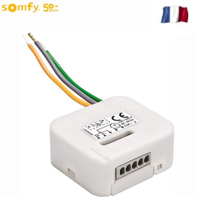 Μικροδέκτης RTS για οικιακά ρολά Somfy 2401162