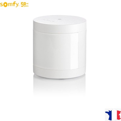 Ανιχνευτής Ανοίγματος IntelliTag Somfy 2401490