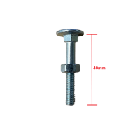 Καρόβιδα (κασονόβιδα) γαλβανιζέ 6x40mm μαζί με παξιμάδι