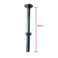 Καρόβιδα (κασονόβιδα) γαλβανιζέ 8x100mm μαζί με παξιμάδι 