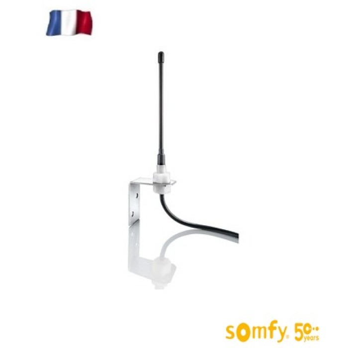 Εξωτερική κεραία (2400472) Somfy